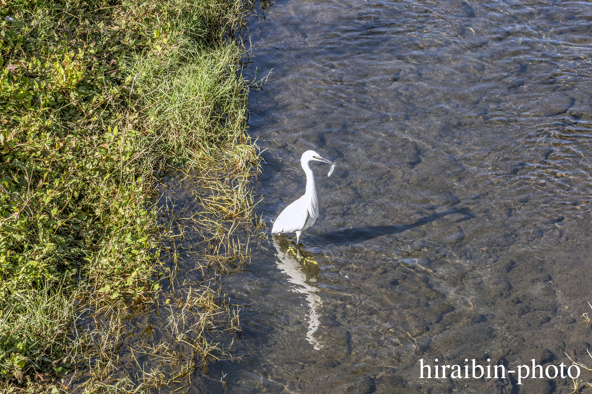 さんぽphotolog.1128-11