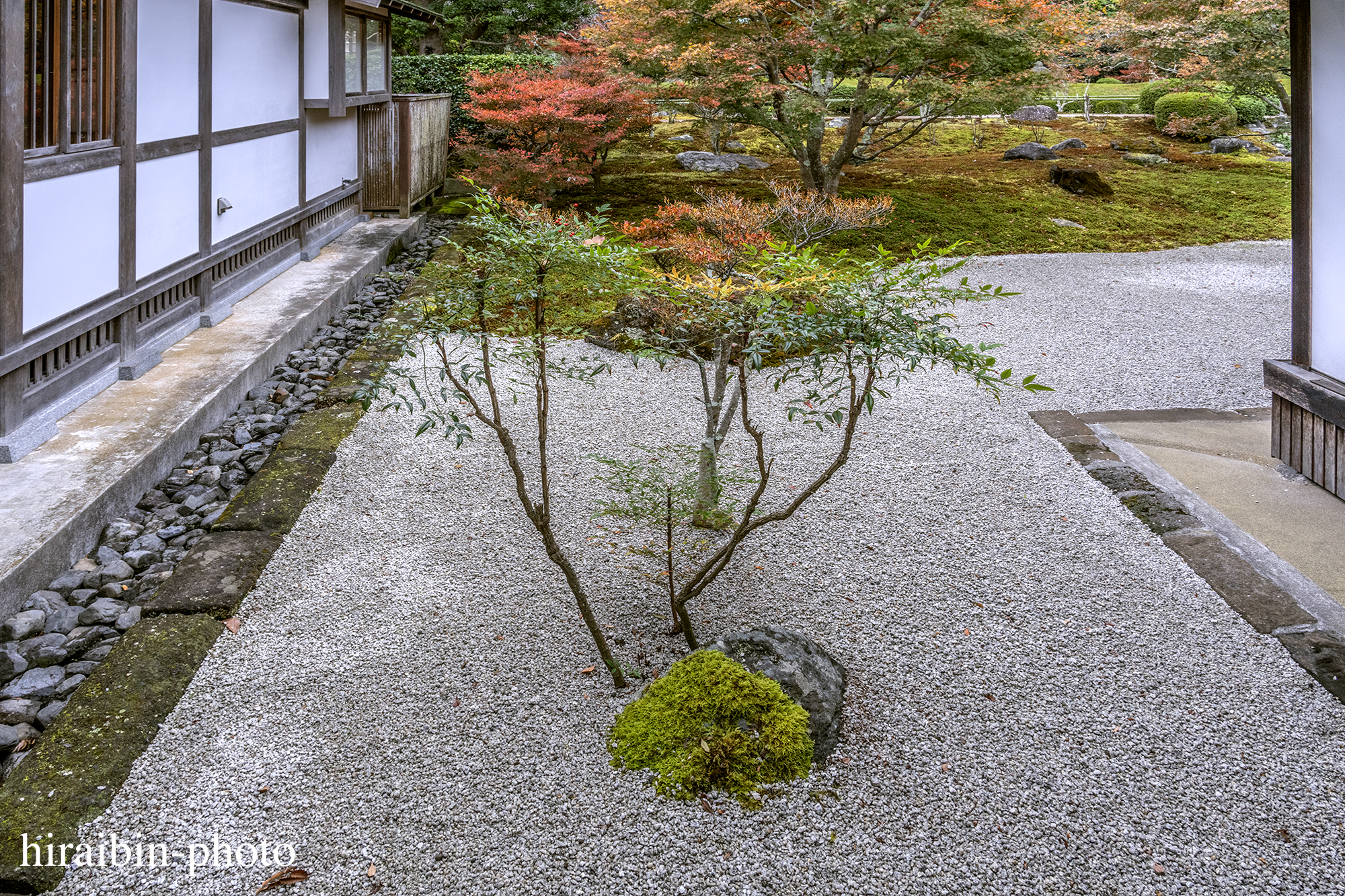 2023.11.23_長寿寺.20