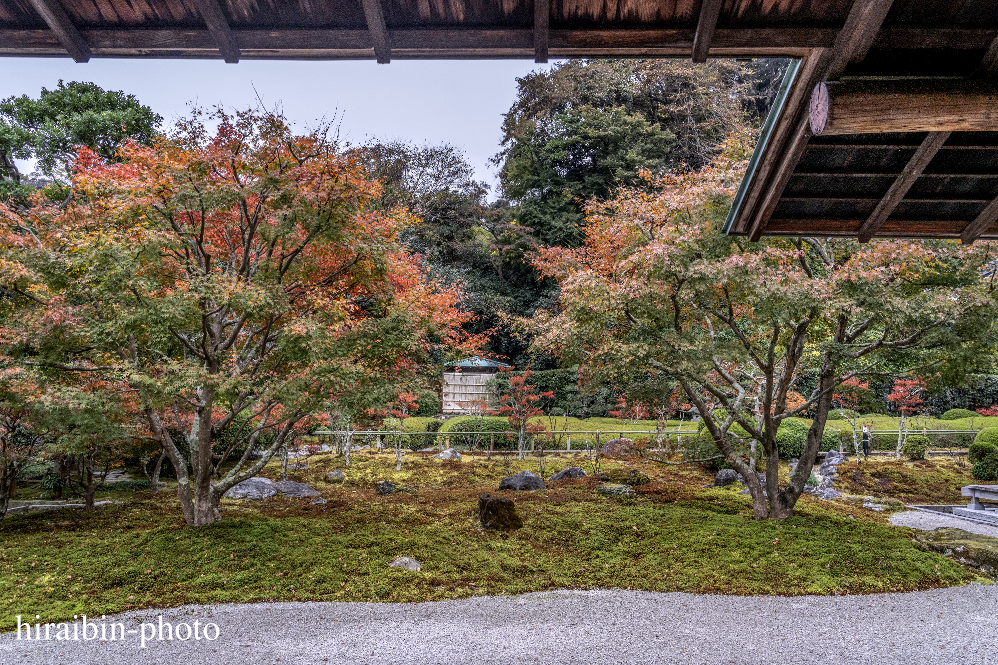 2023.11.23_長寿寺.22