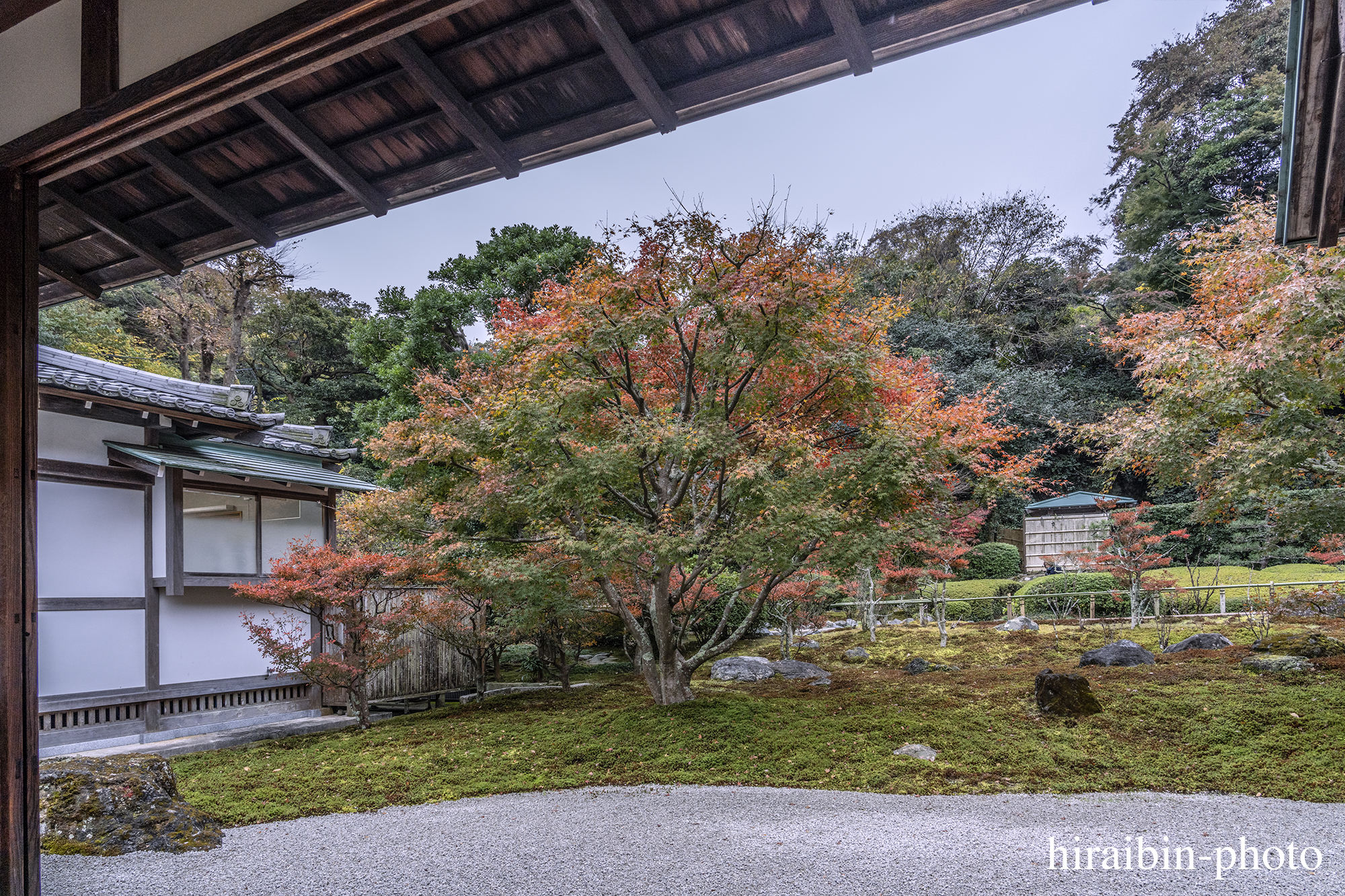 2023.11.23_長寿寺.23