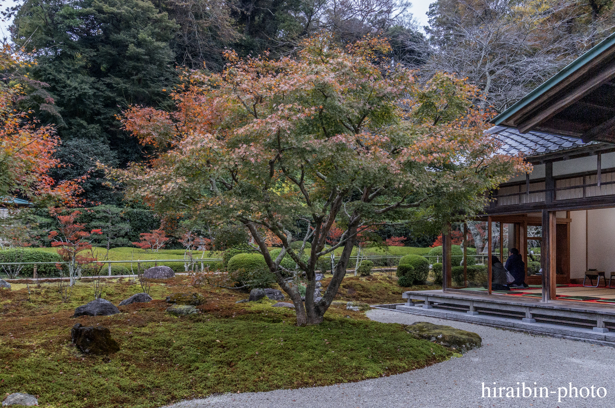 2023.11.23_長寿寺.25