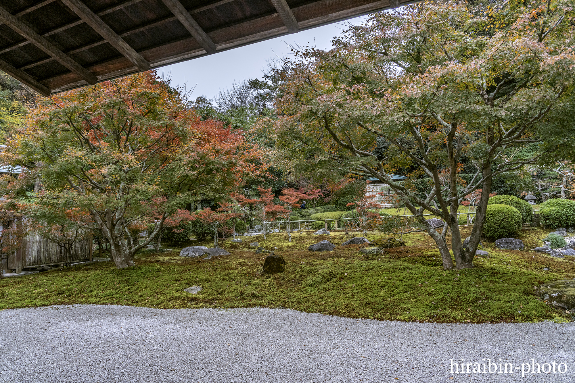 2023.11.23_長寿寺.27