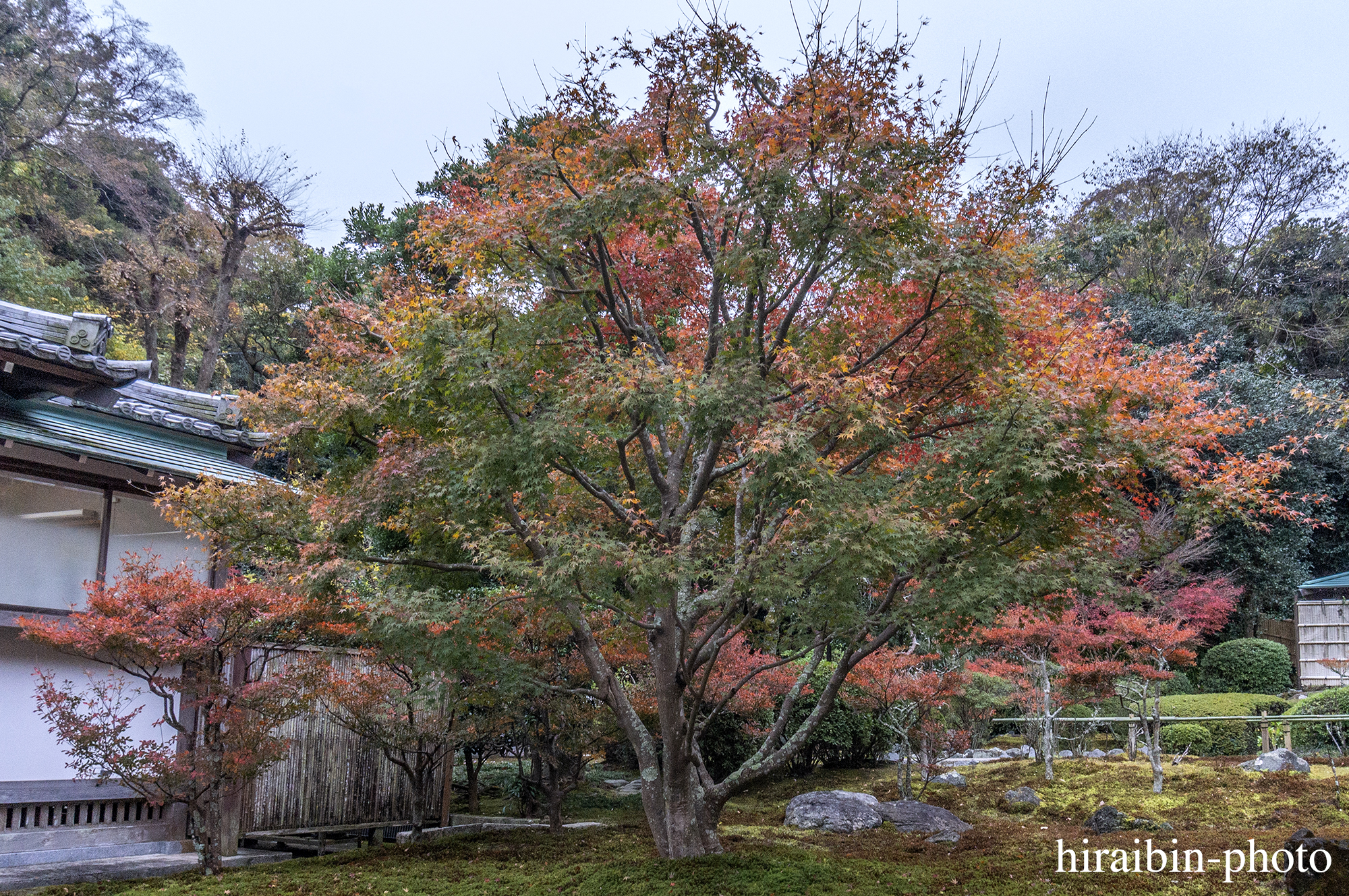 2023.11.23_長寿寺.30