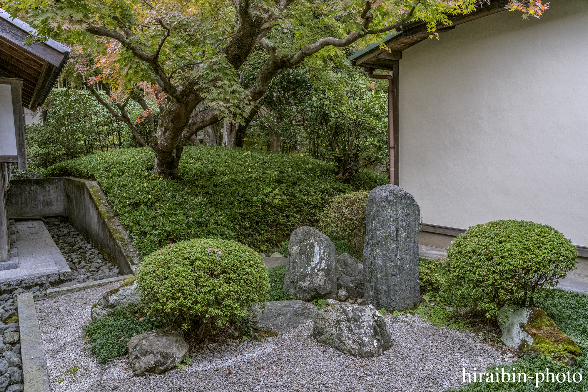 2023.11.23_長寿寺.32