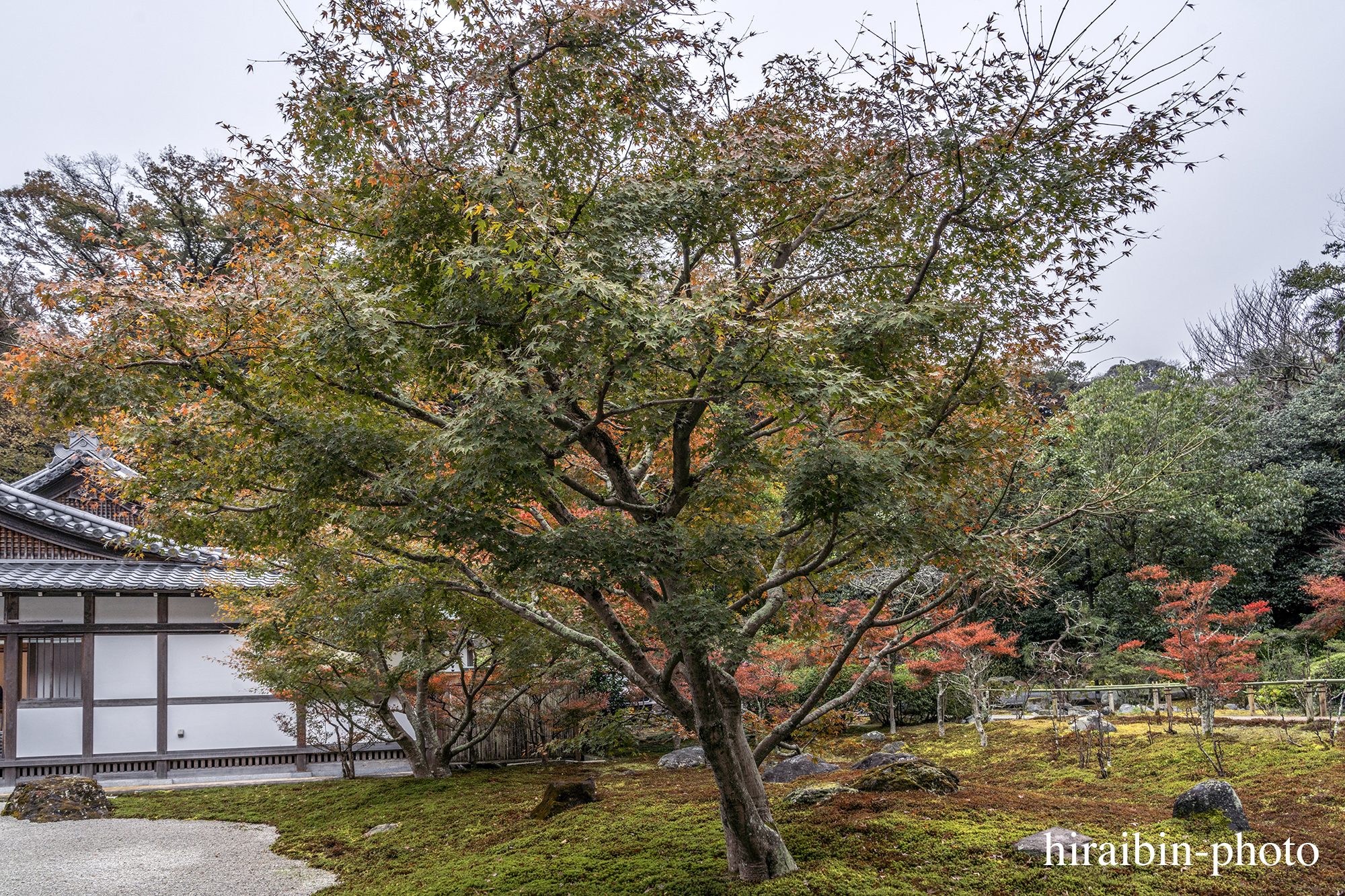 2023.11.23_長寿寺.34