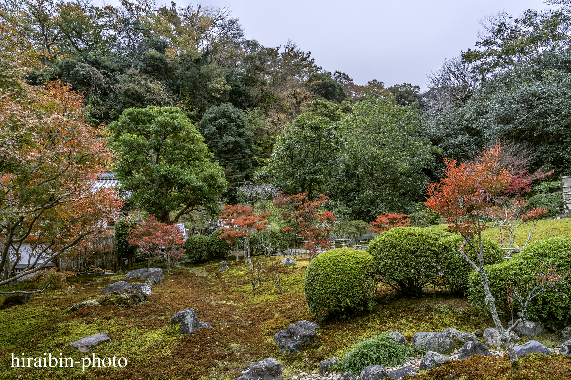 2023.11.23_長寿寺.35