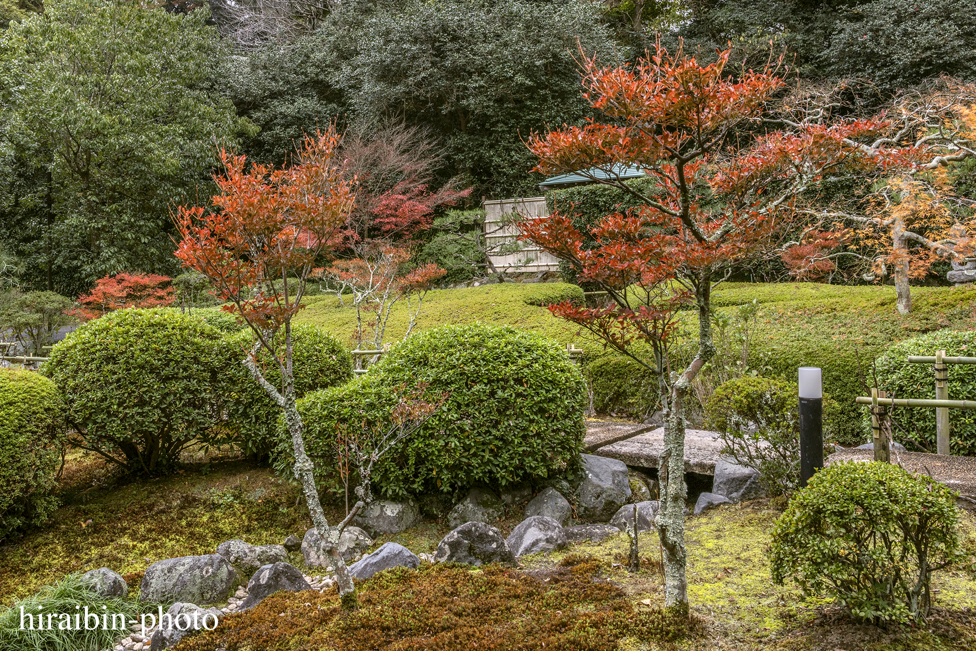 2023.11.23_長寿寺.36