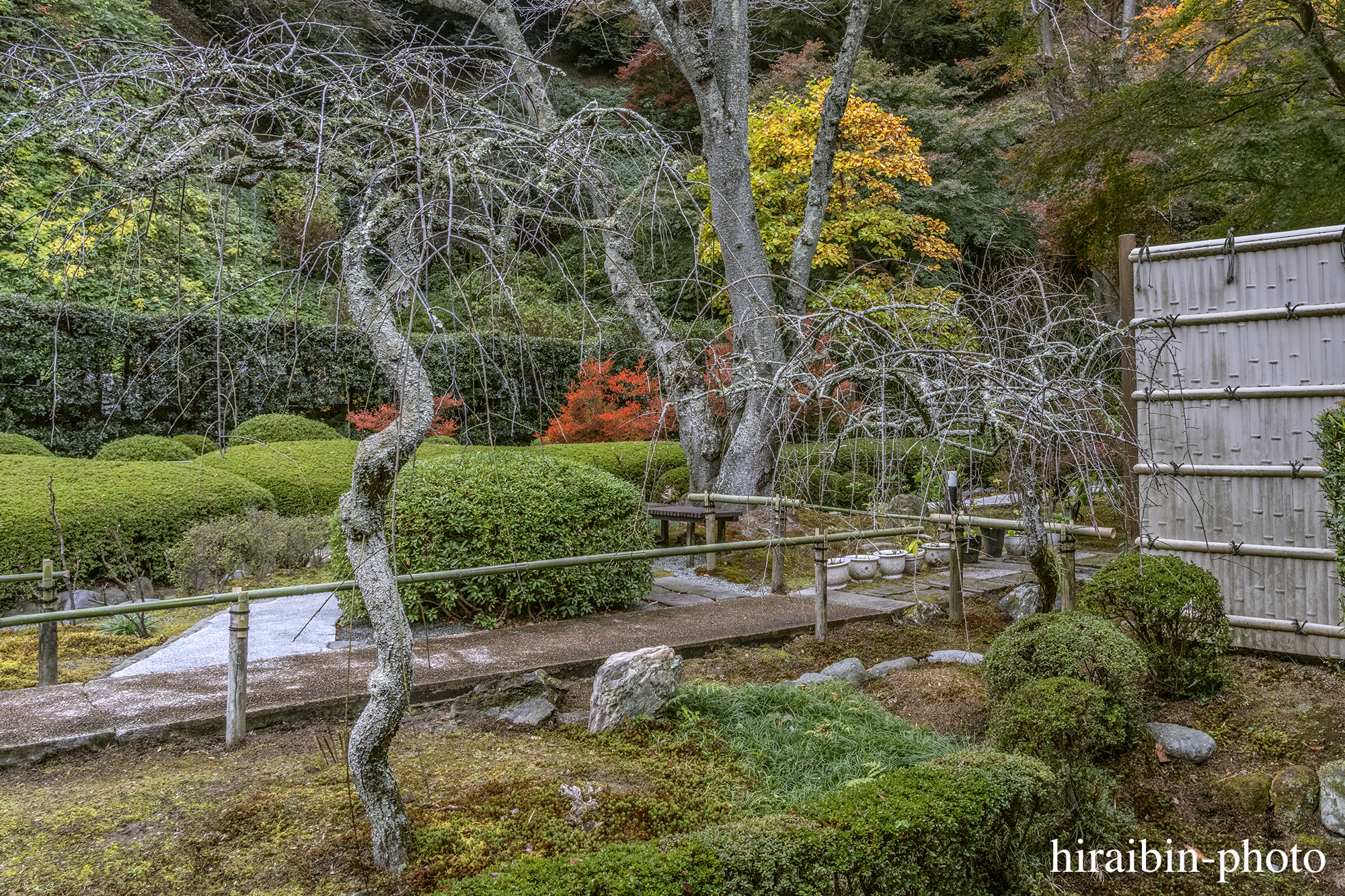 2023.11.23_長寿寺.37