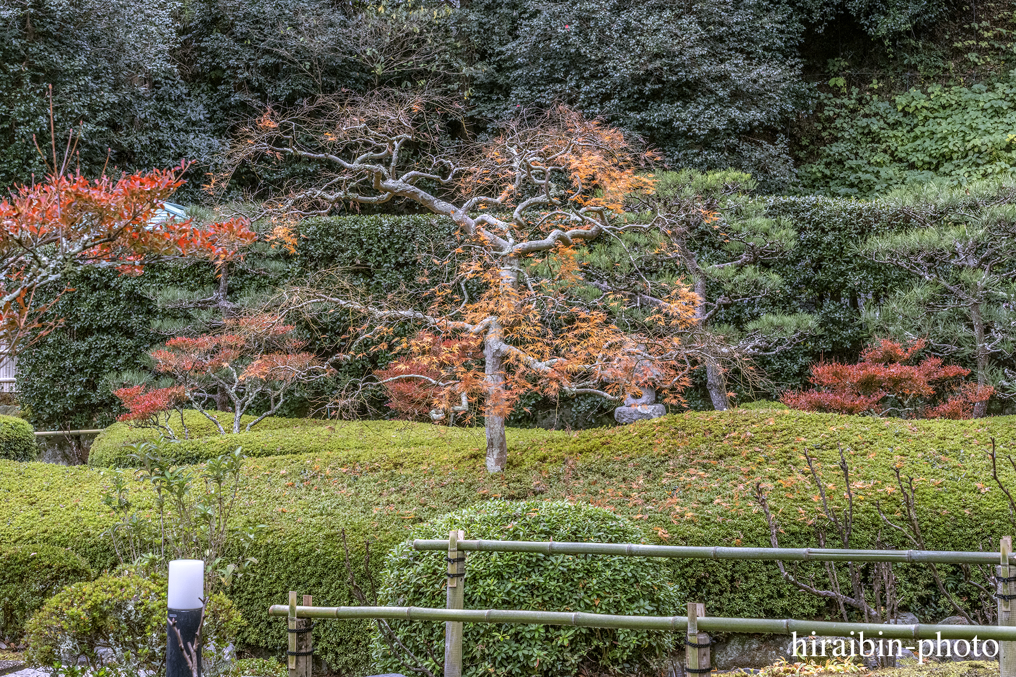 2023.11.23_長寿寺.38