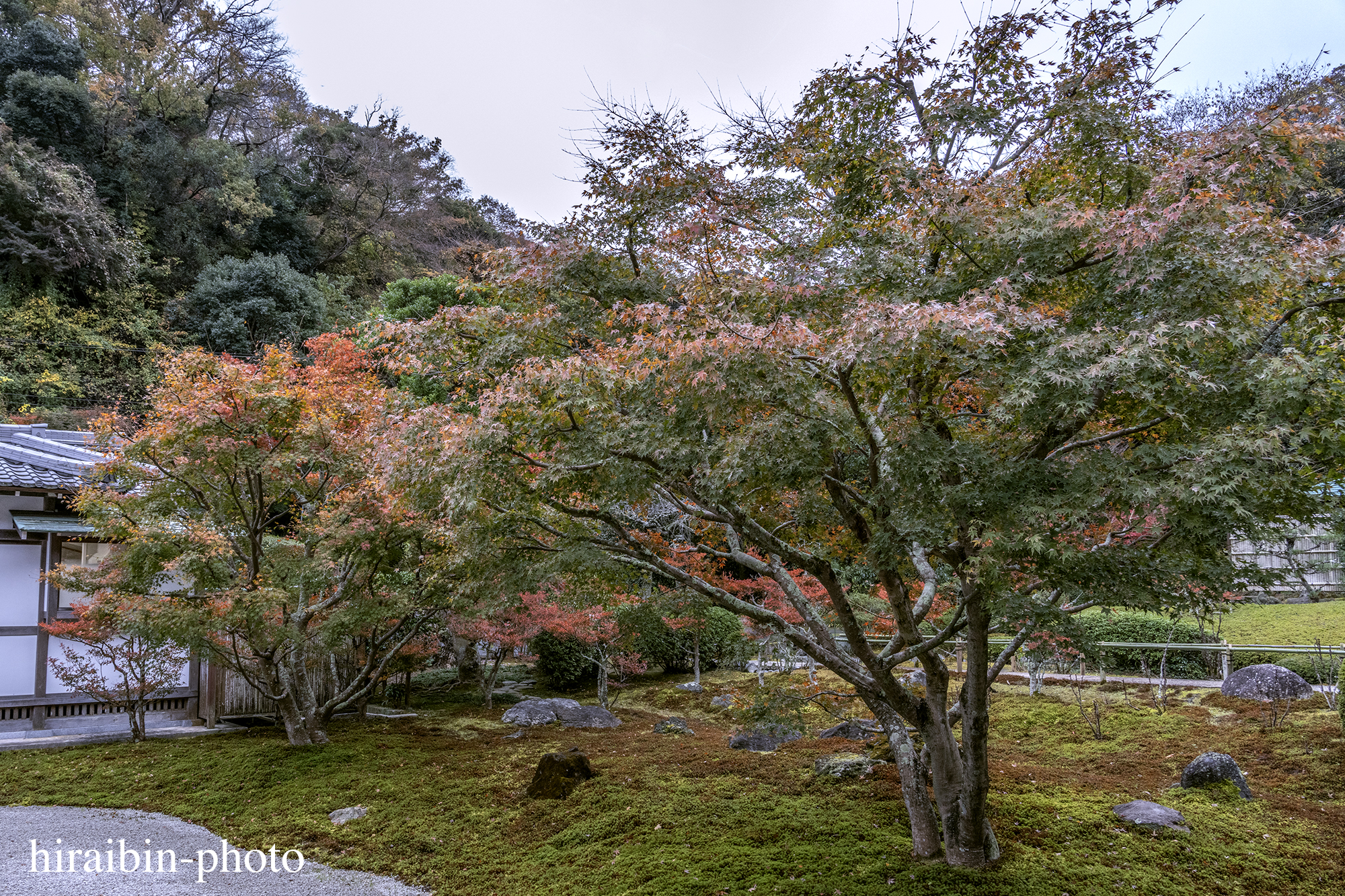 2023.11.23_長寿寺.42