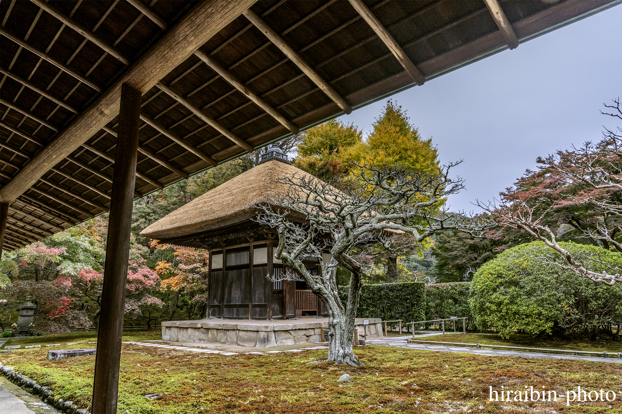 2023.11.23_長寿寺.47