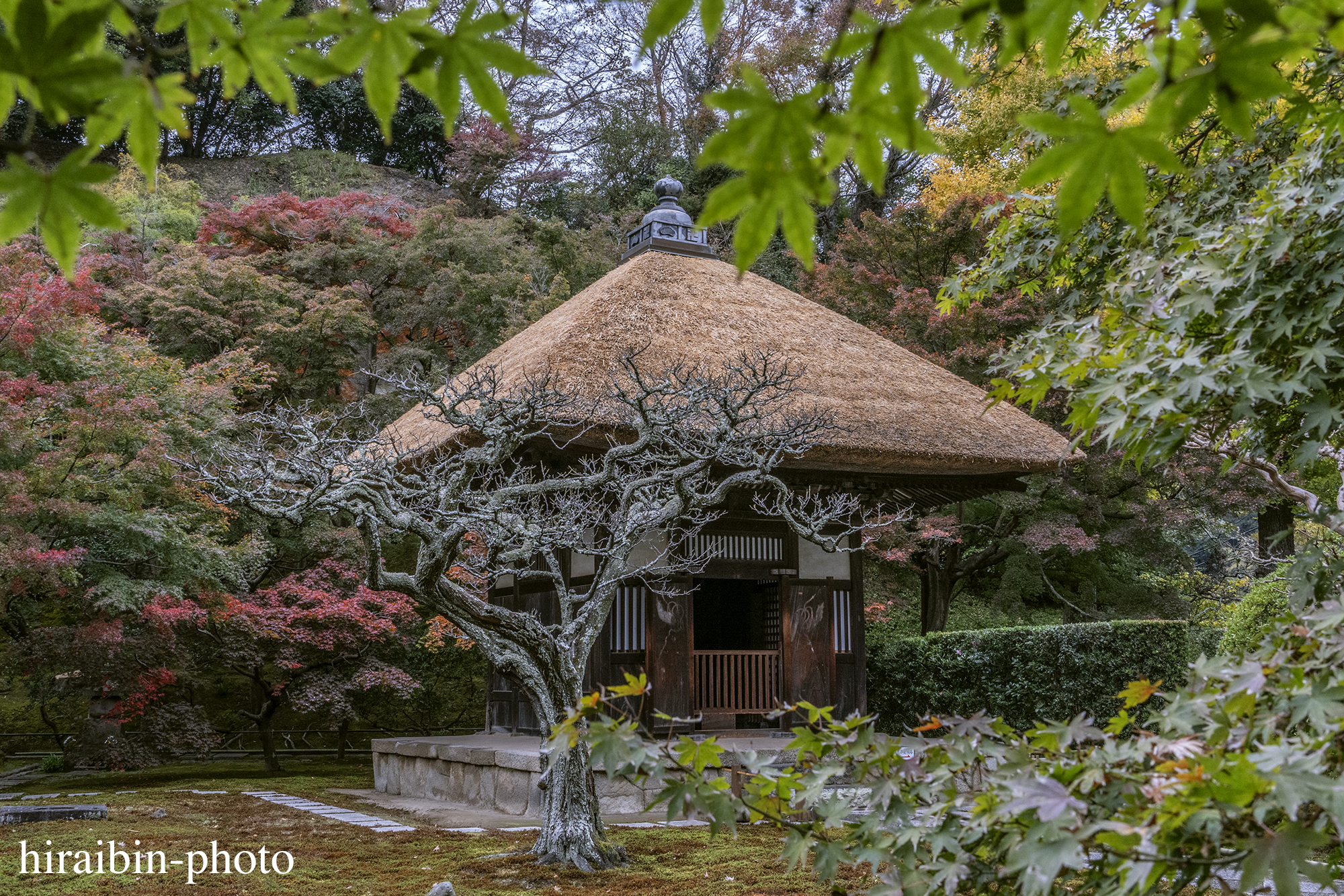 2023.11.23_長寿寺.50