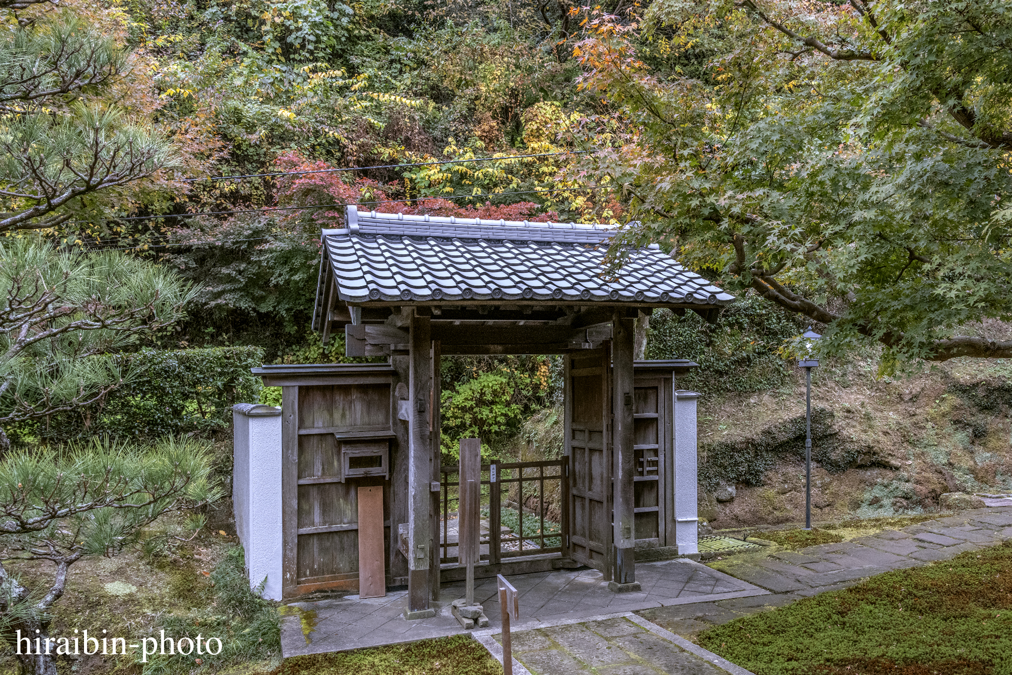 2023.11.23_長寿寺.51