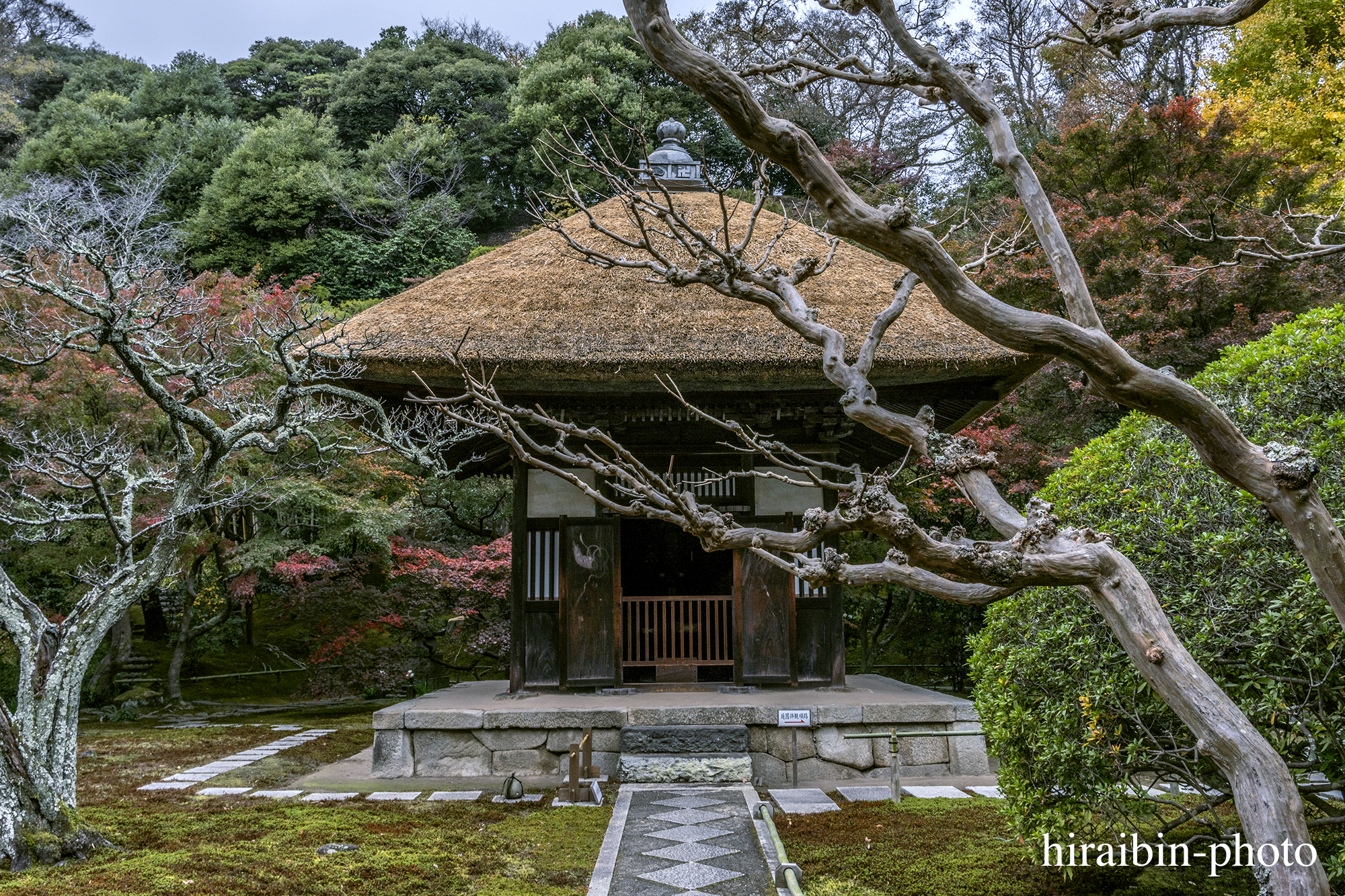 2023.11.23_長寿寺.53