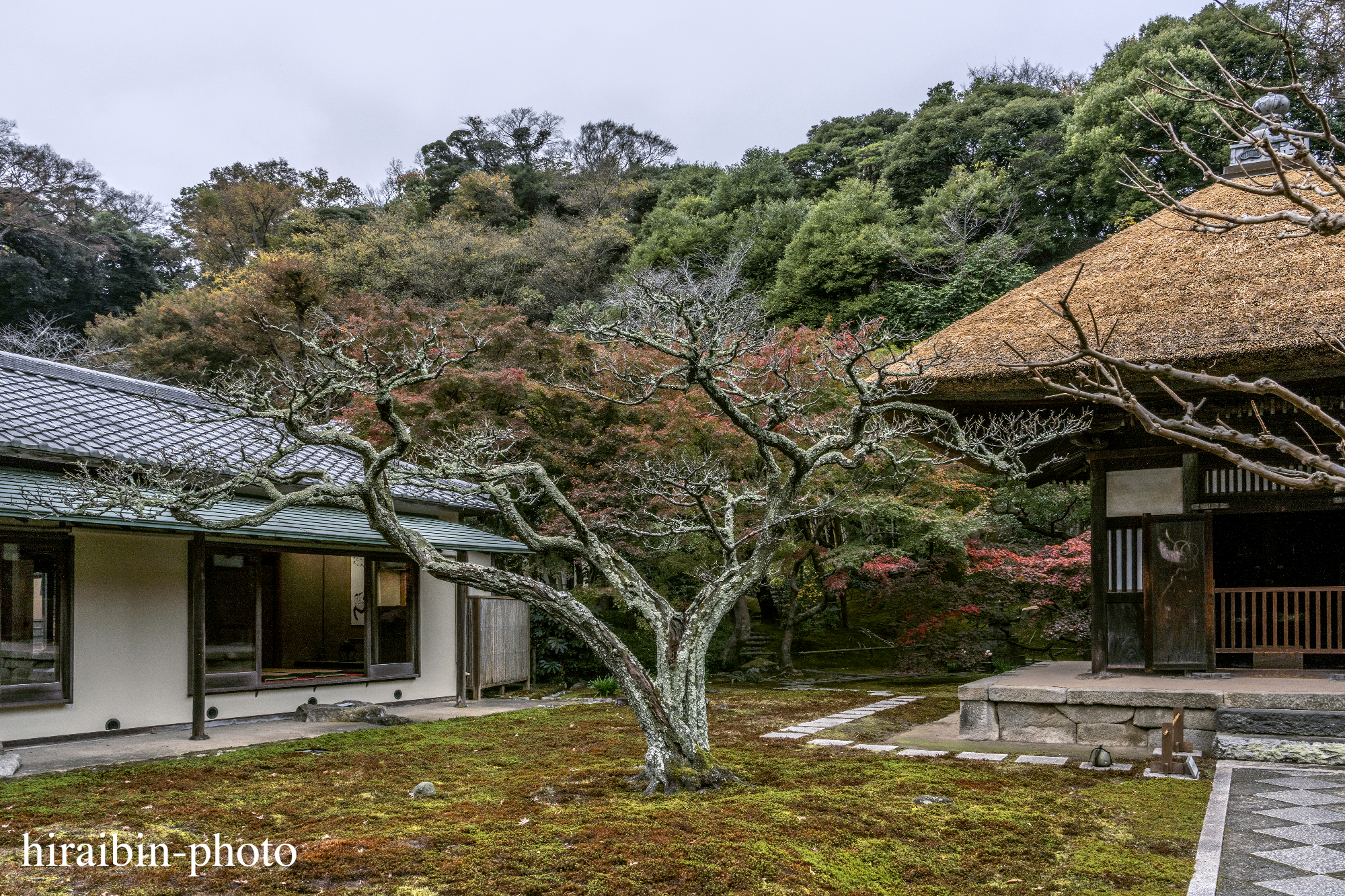 2023.11.23_長寿寺.54