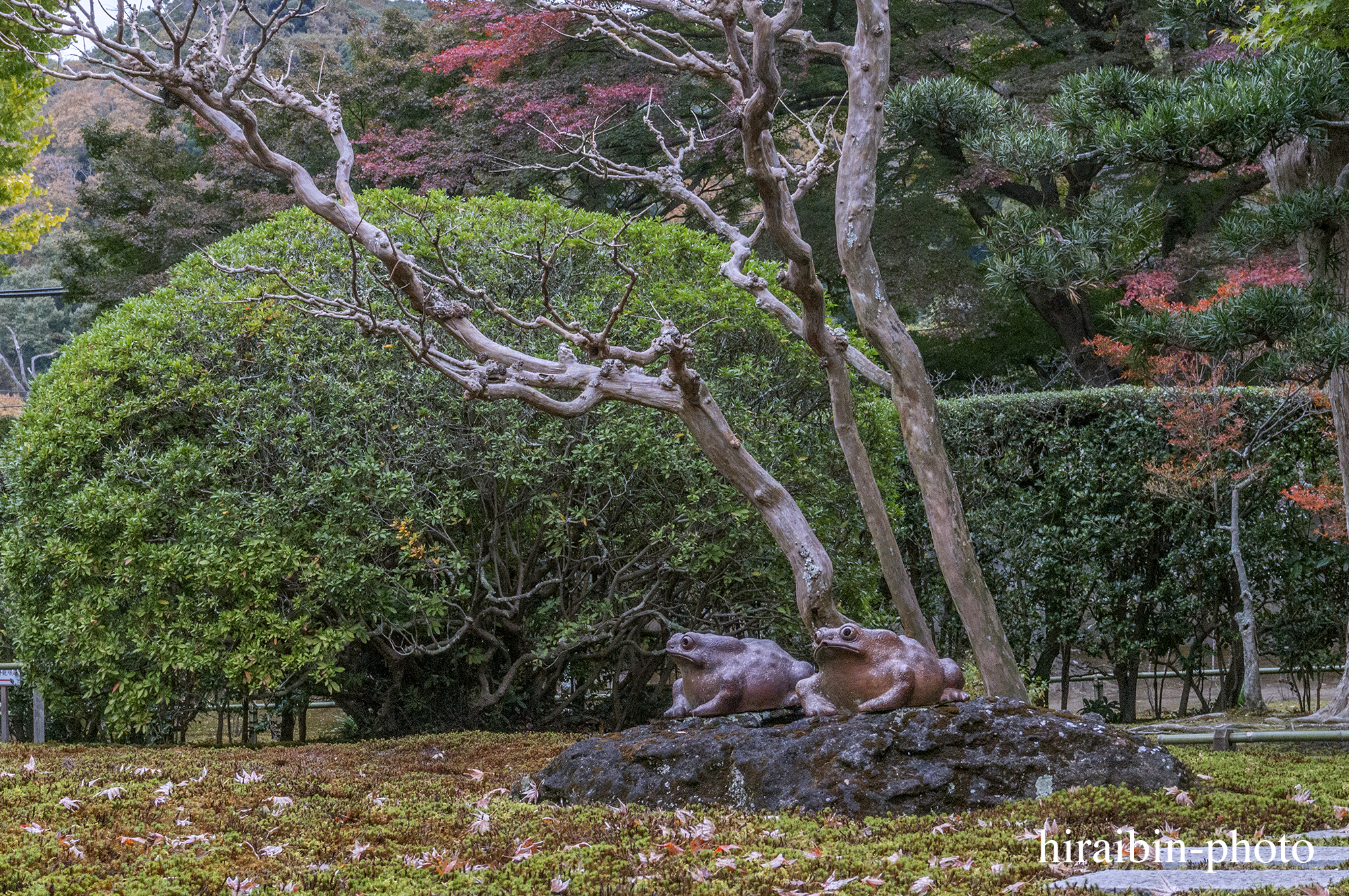 2023.11.23_長寿寺.55