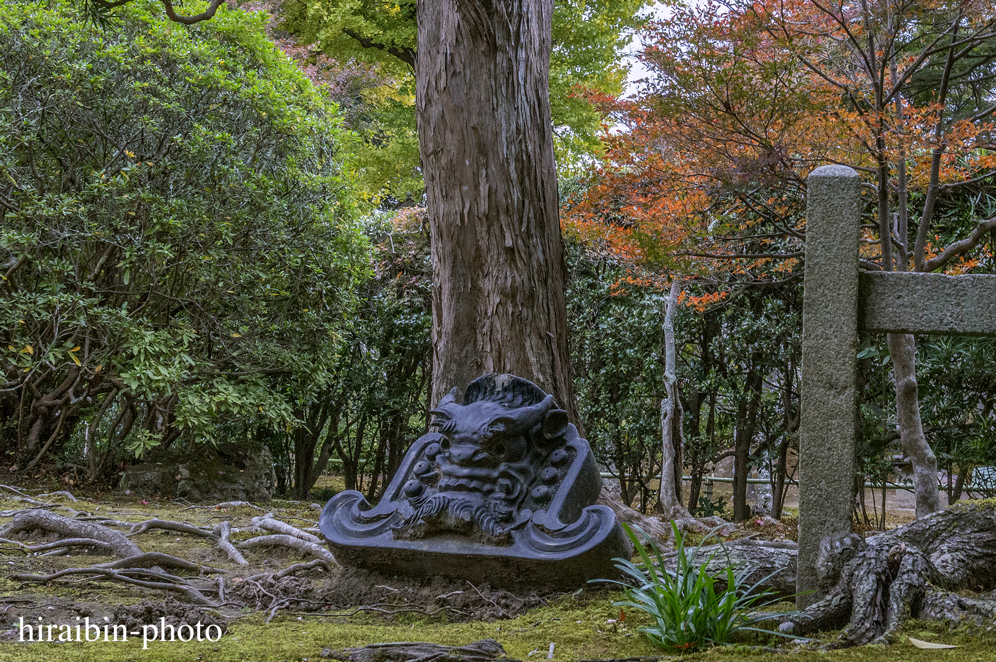 2023.11.23_長寿寺.57