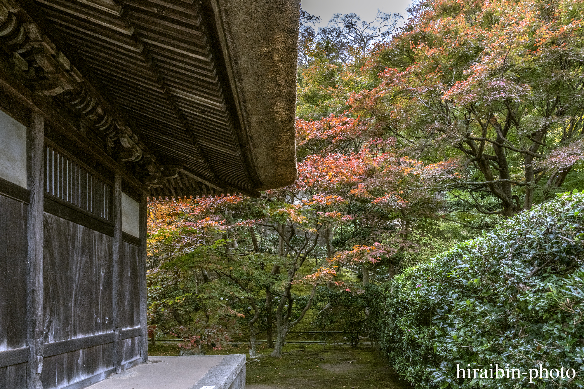 2023.11.23_長寿寺.58