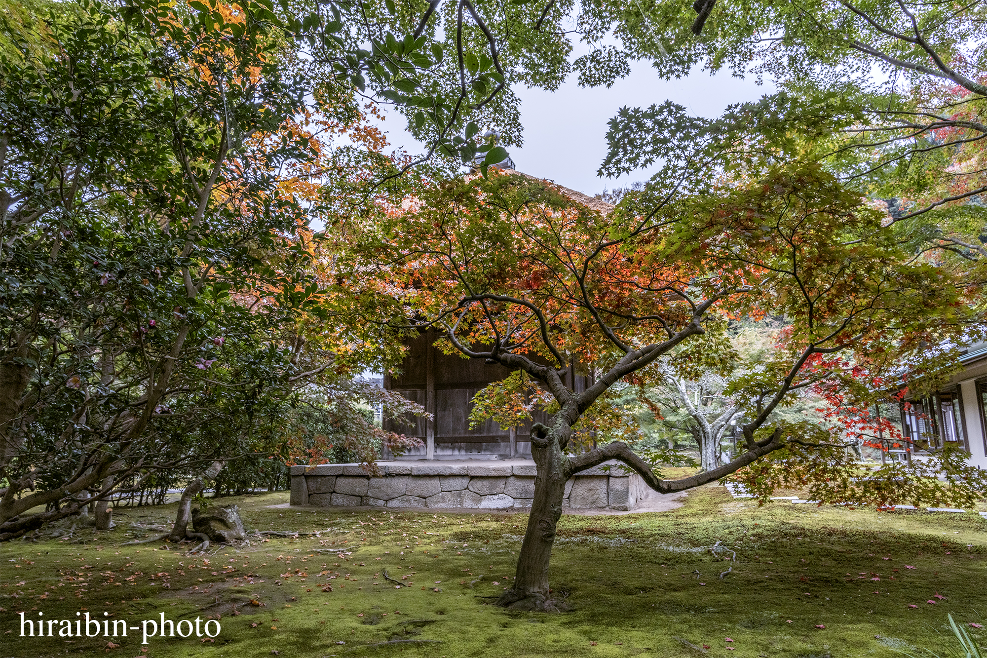 2023.11.23_長寿寺.60