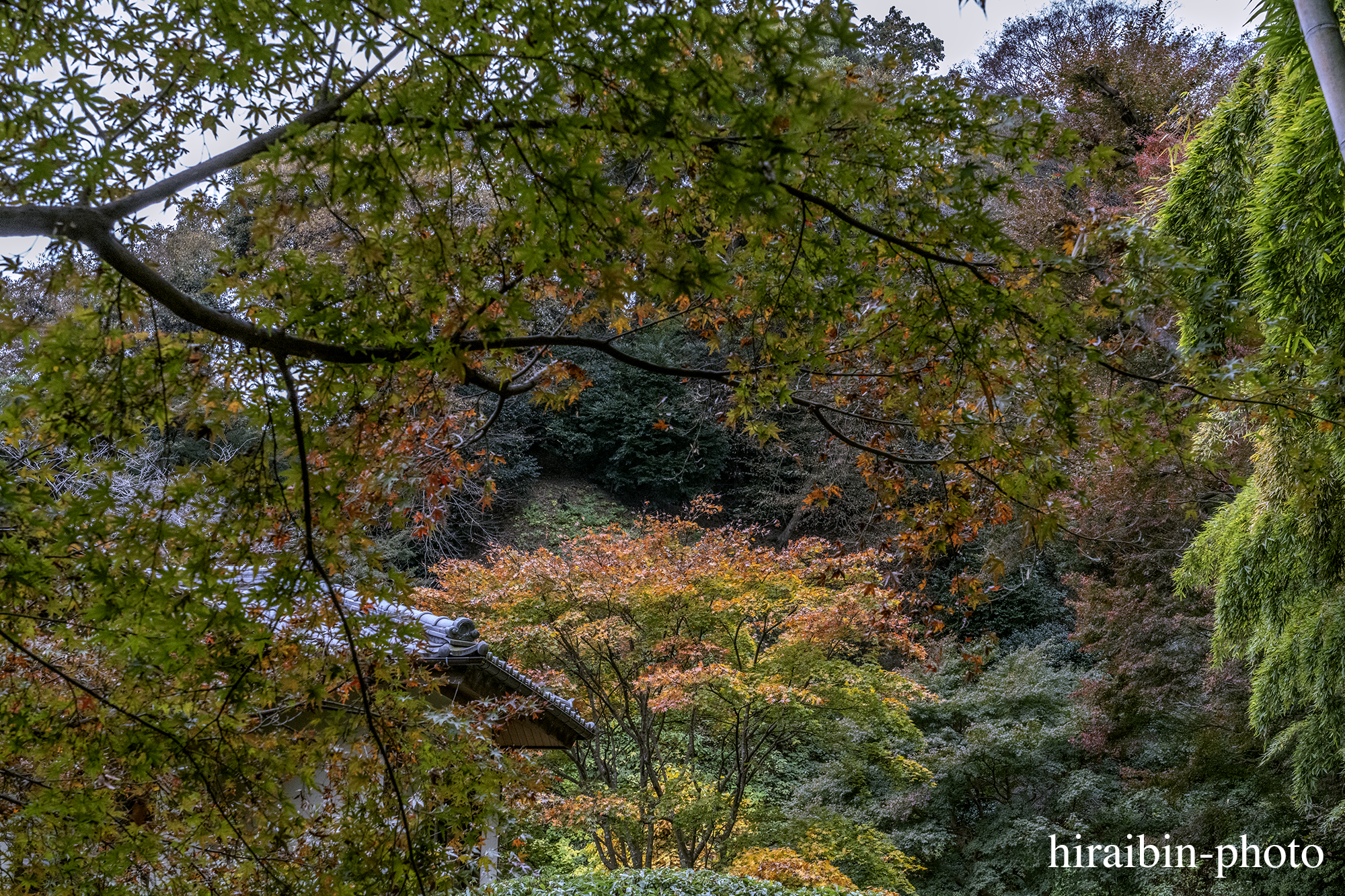 2023.11.23_長寿寺.66