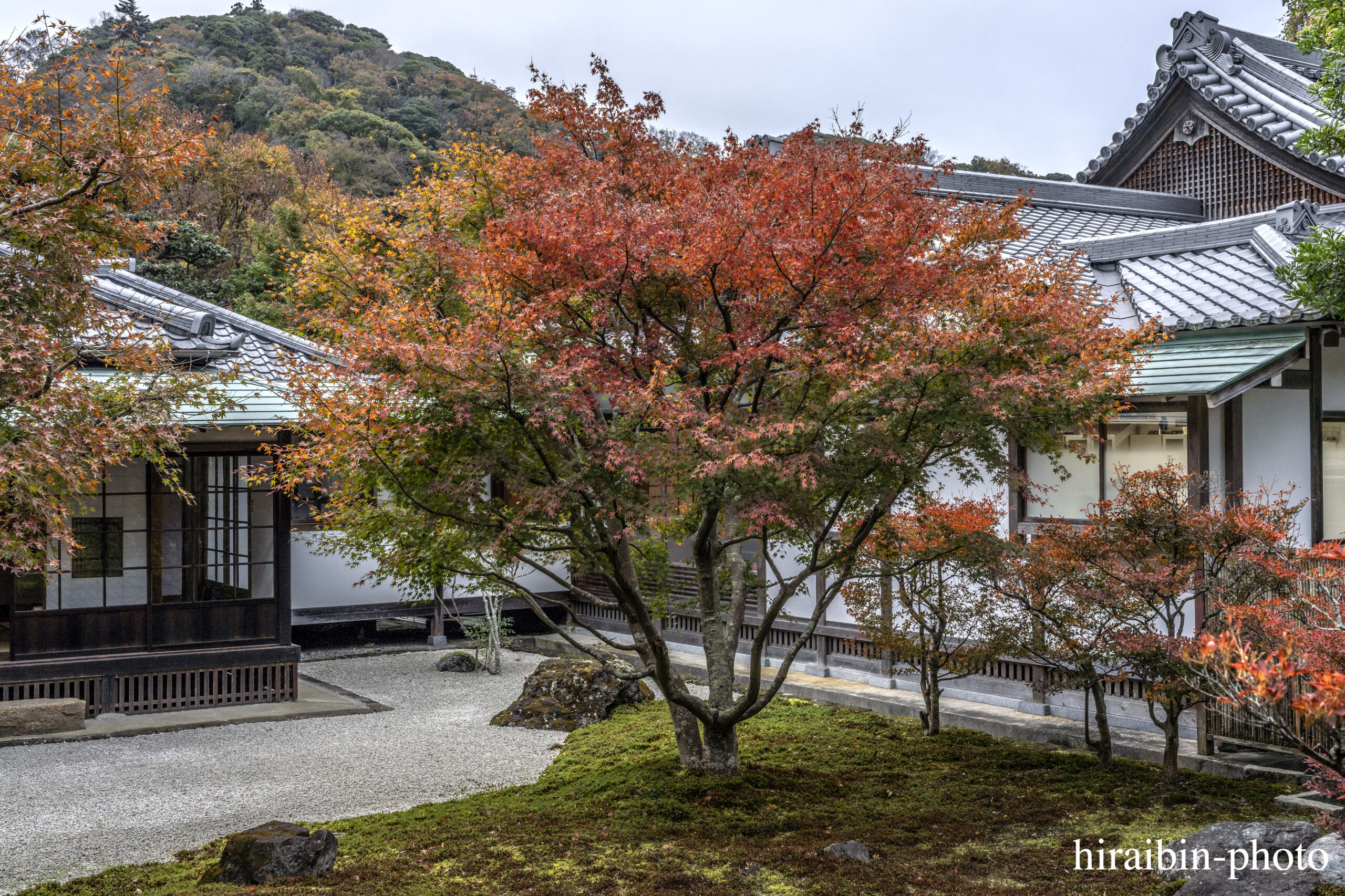 2023.11.23_長寿寺.73