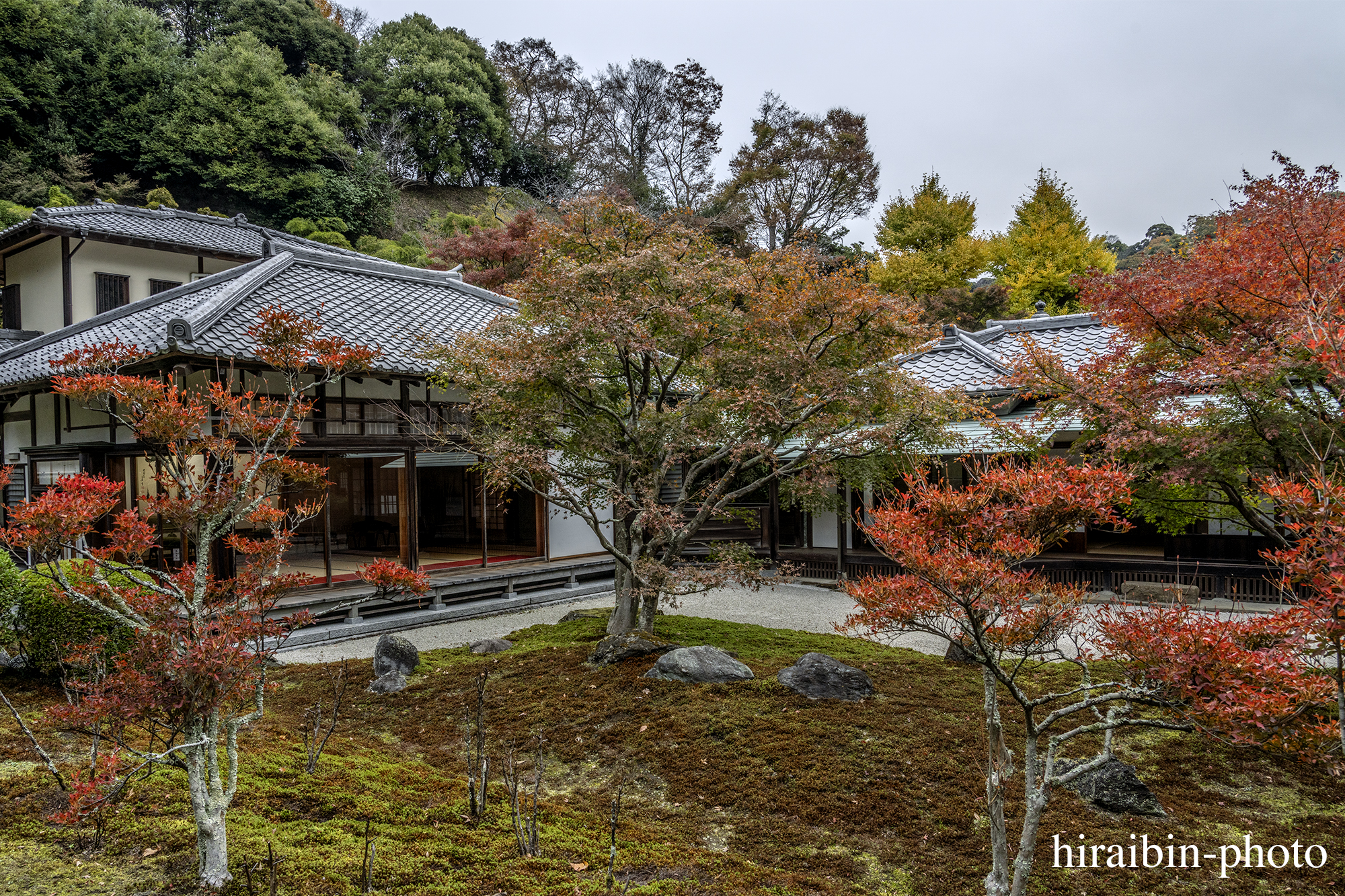 2023.11.23_長寿寺.74