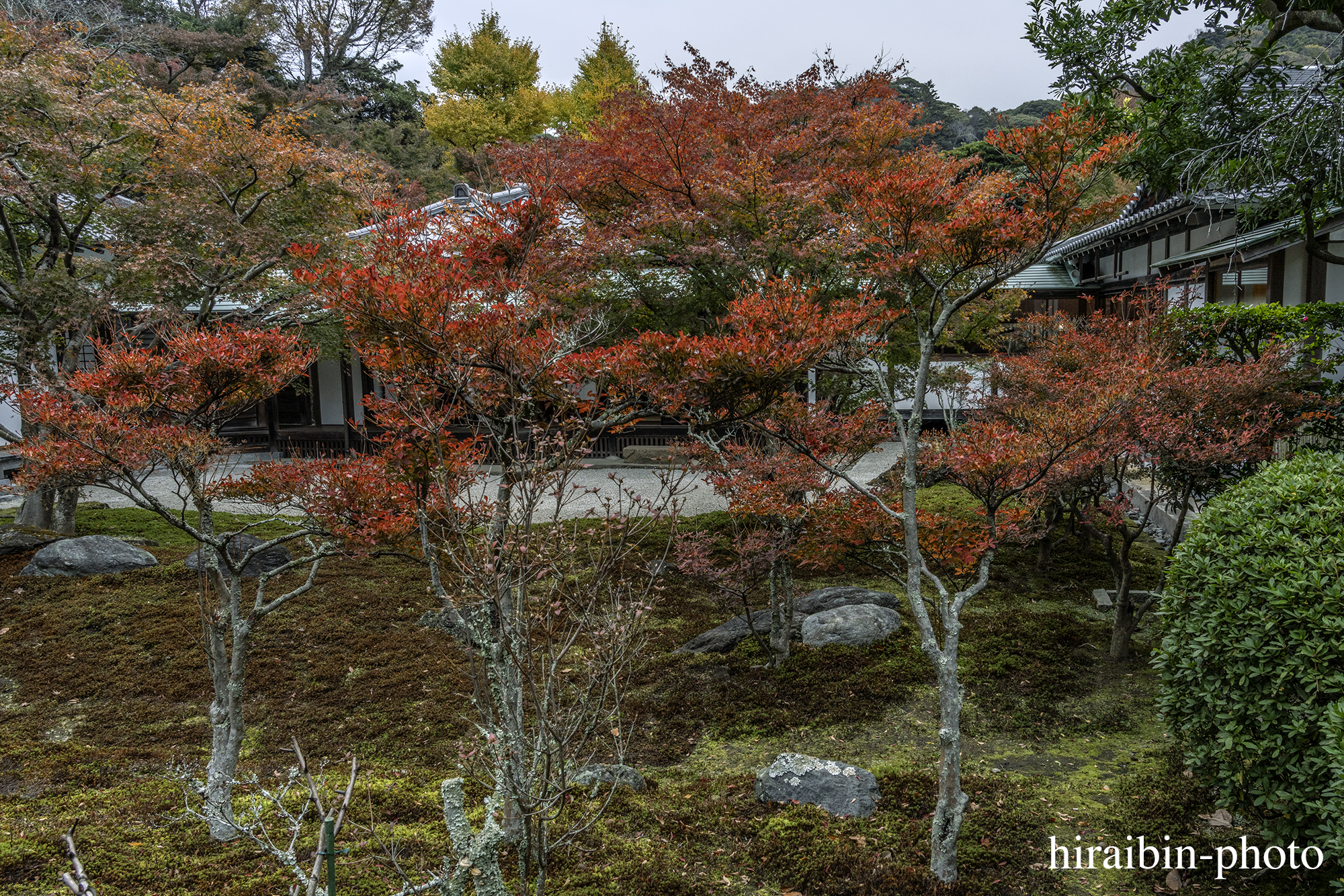 2023.11.23_長寿寺.75