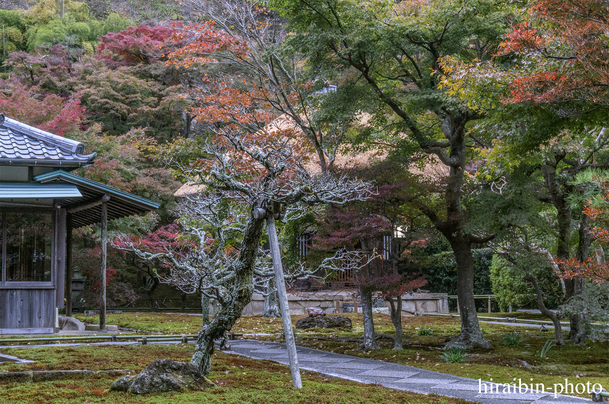 2023.11.23_長寿寺.78