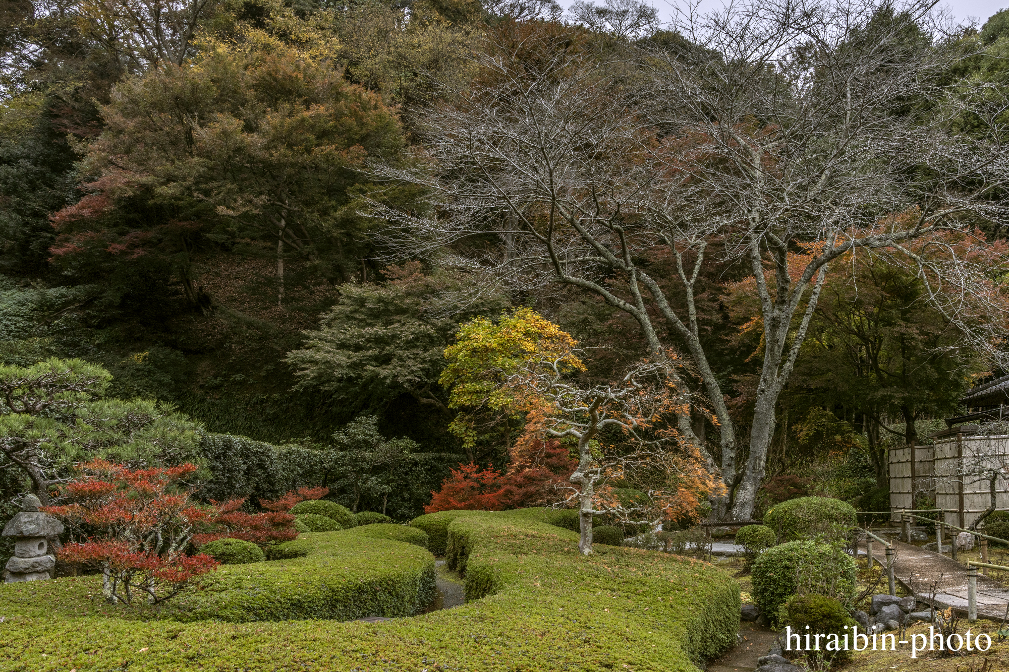 2023.11.23_長寿寺.79