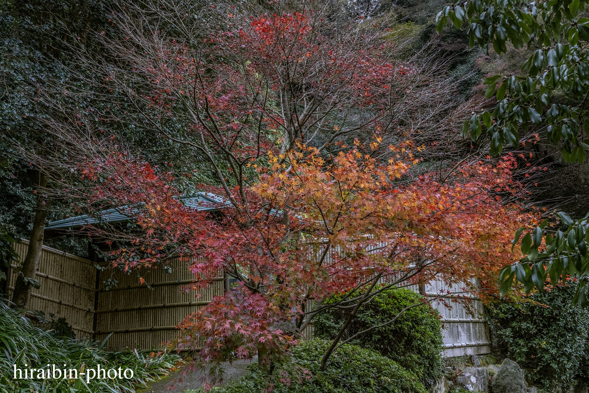 2023.11.23_長寿寺.80