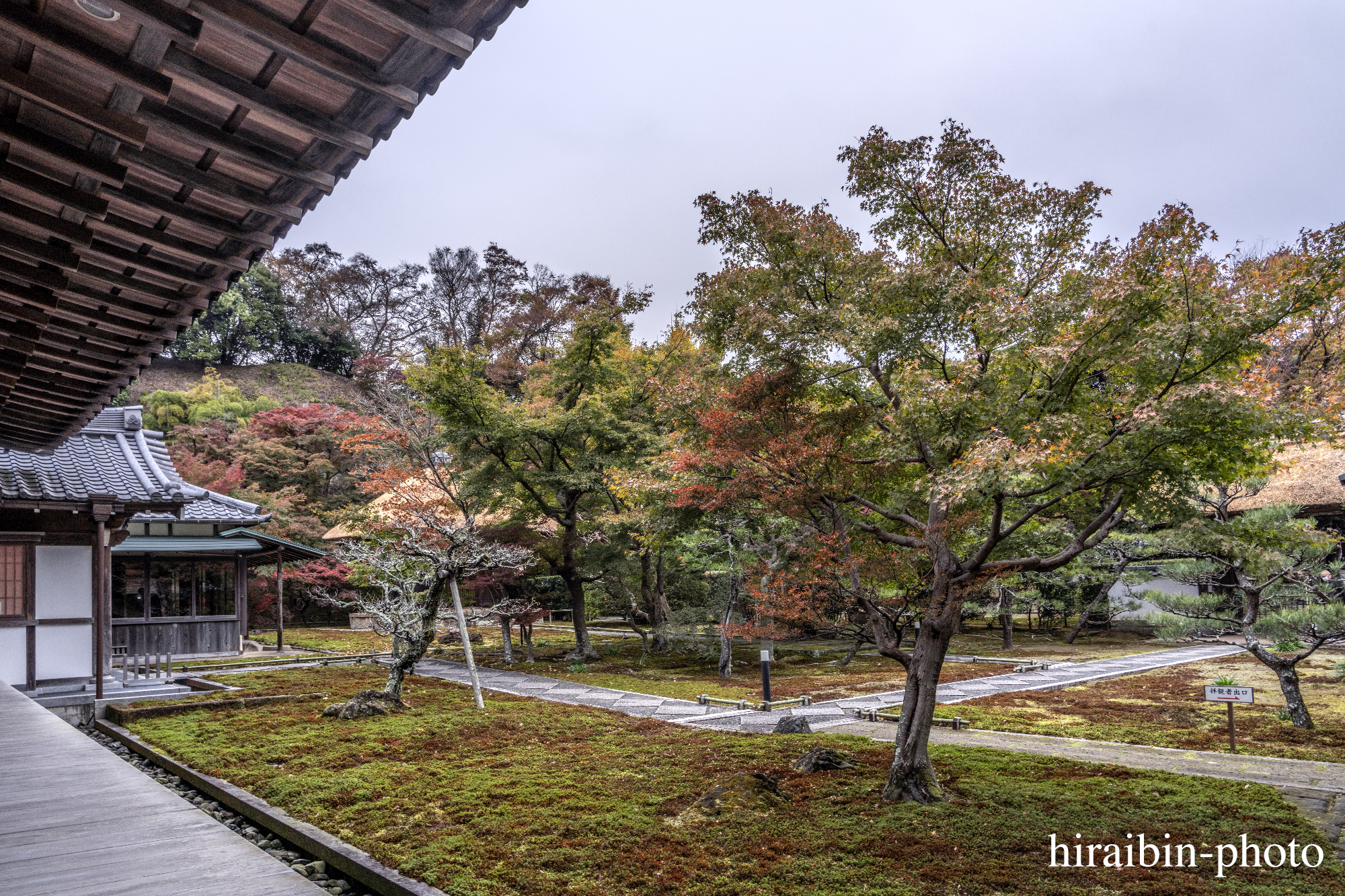 2023.11.23_長寿寺.84