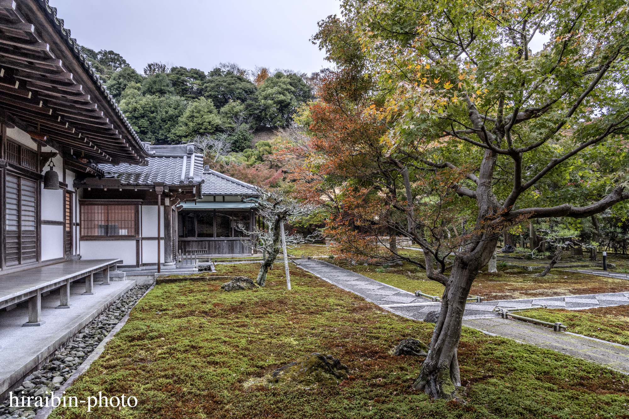 2023.11.23_長寿寺.85