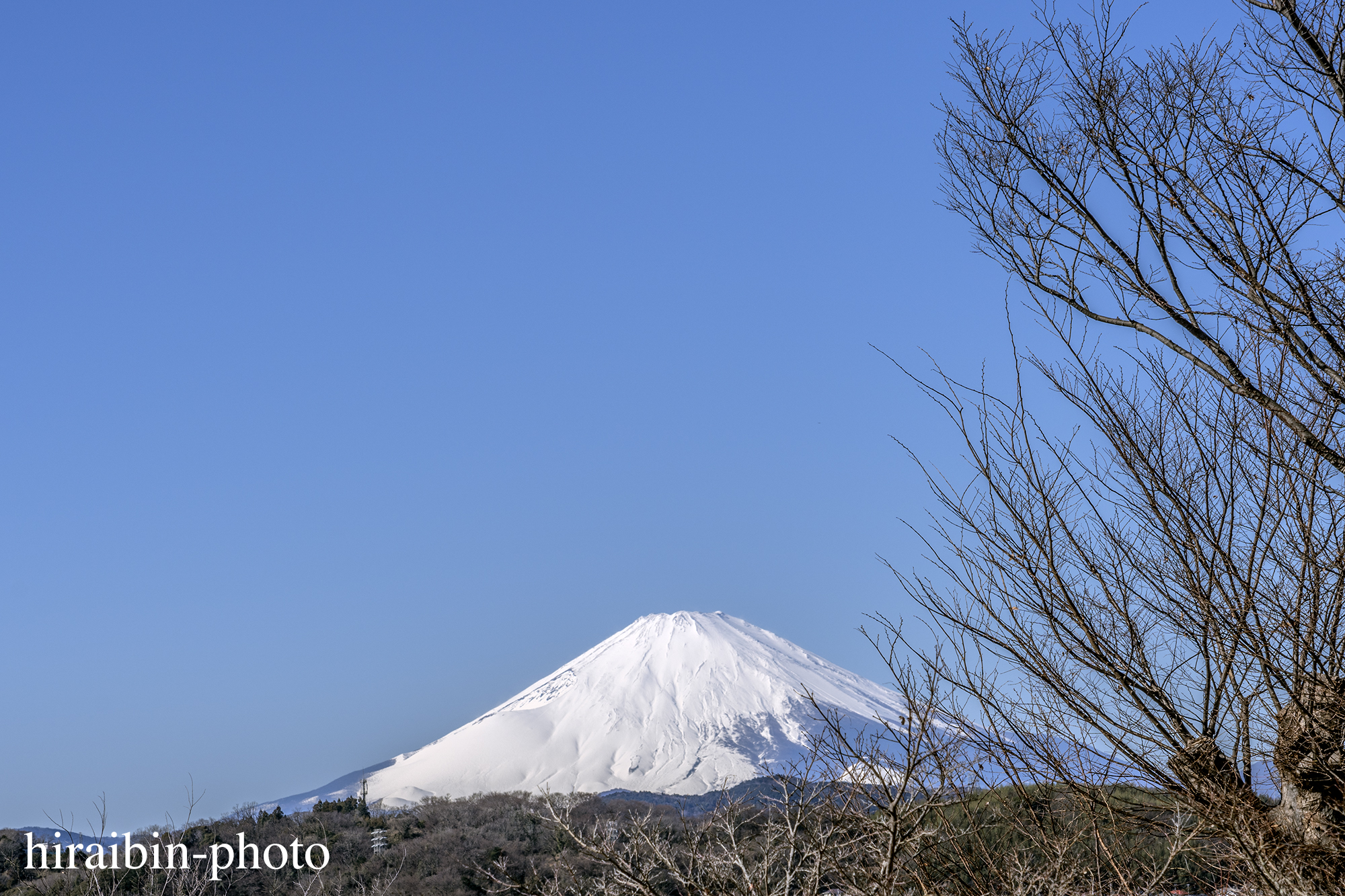 さんぽphotolog.20240125-05