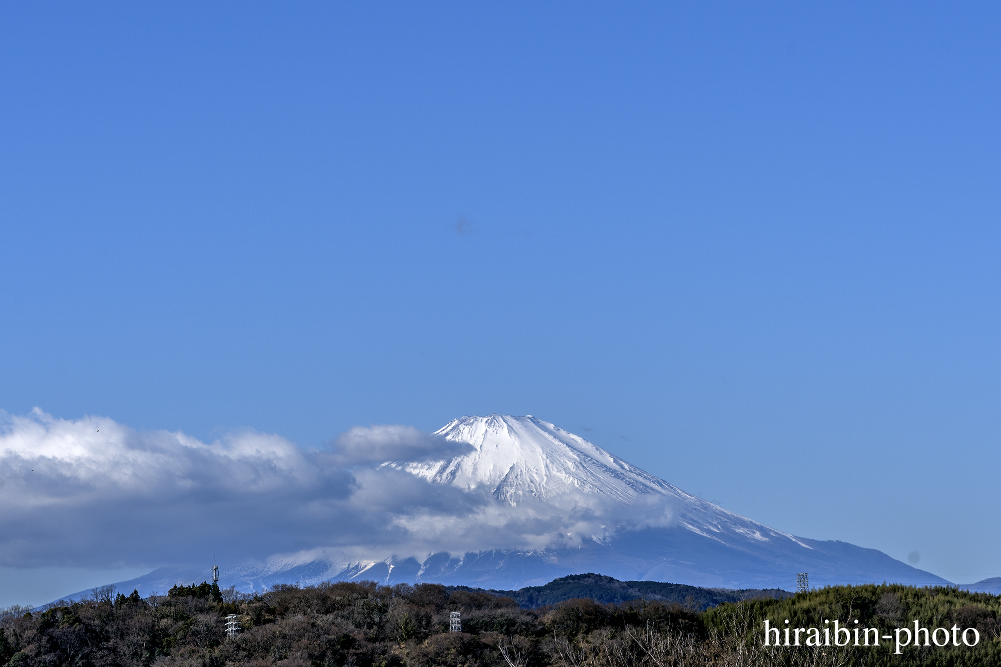 さんぽphotolog.20240108-06