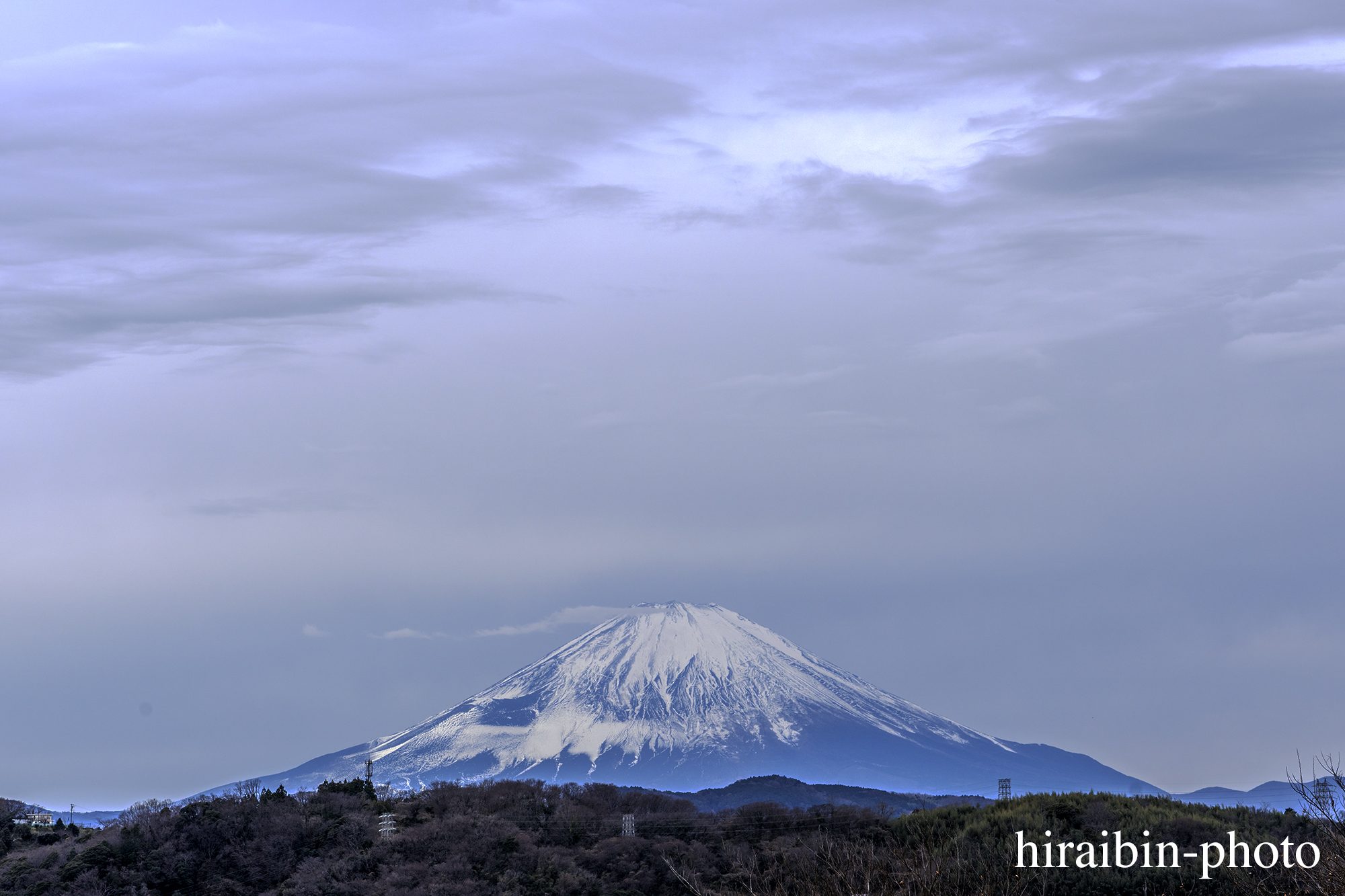 さんぽphotolog.20240111-03