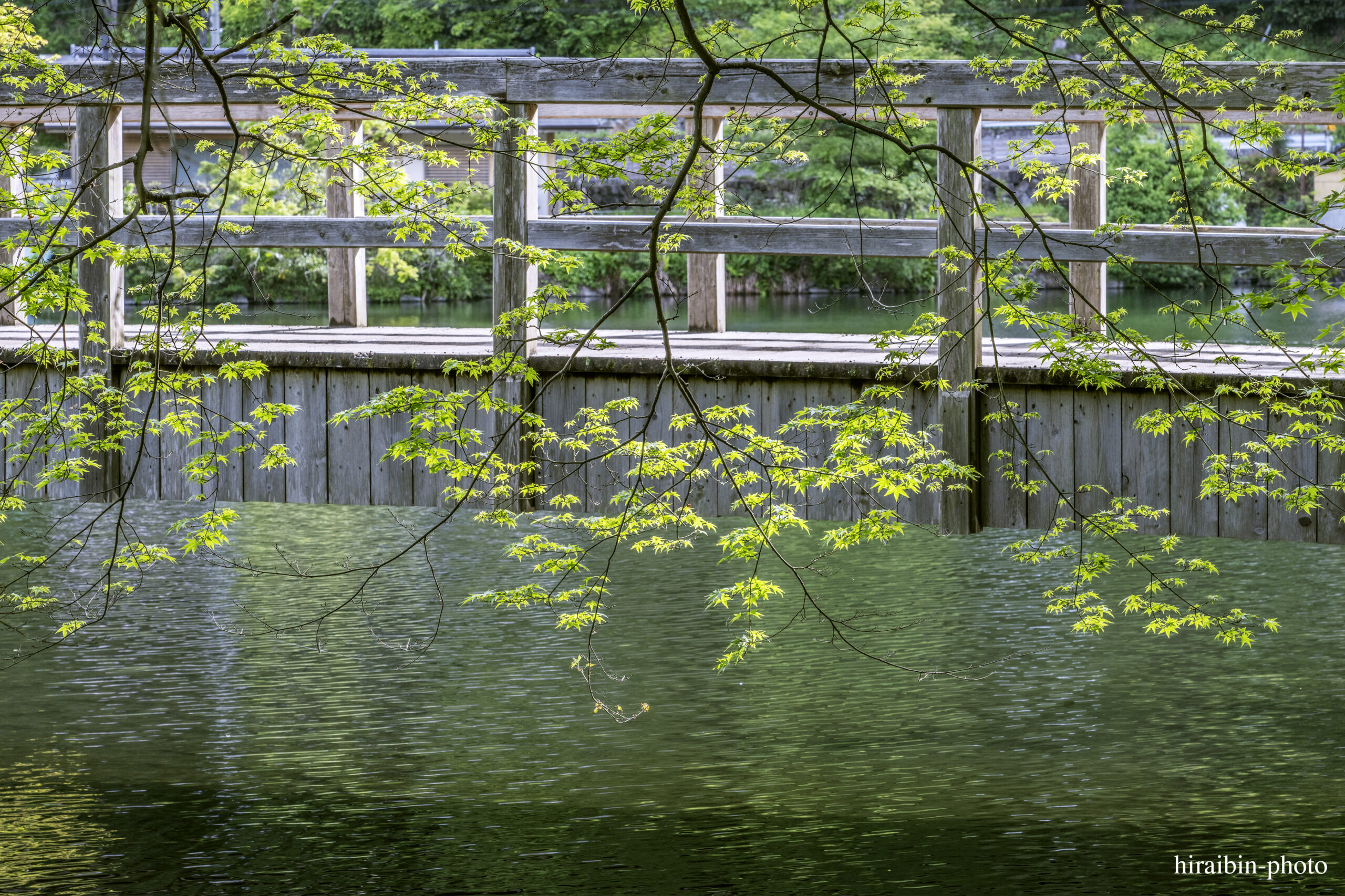 2024.5.2_湯布院・別府_11