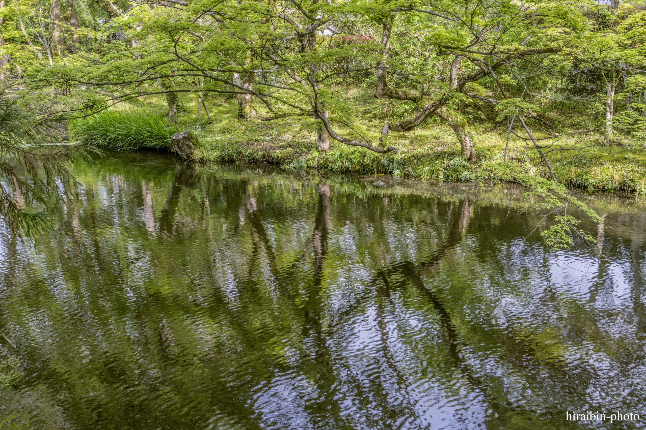 2024.5.2_湯布院・別府_12