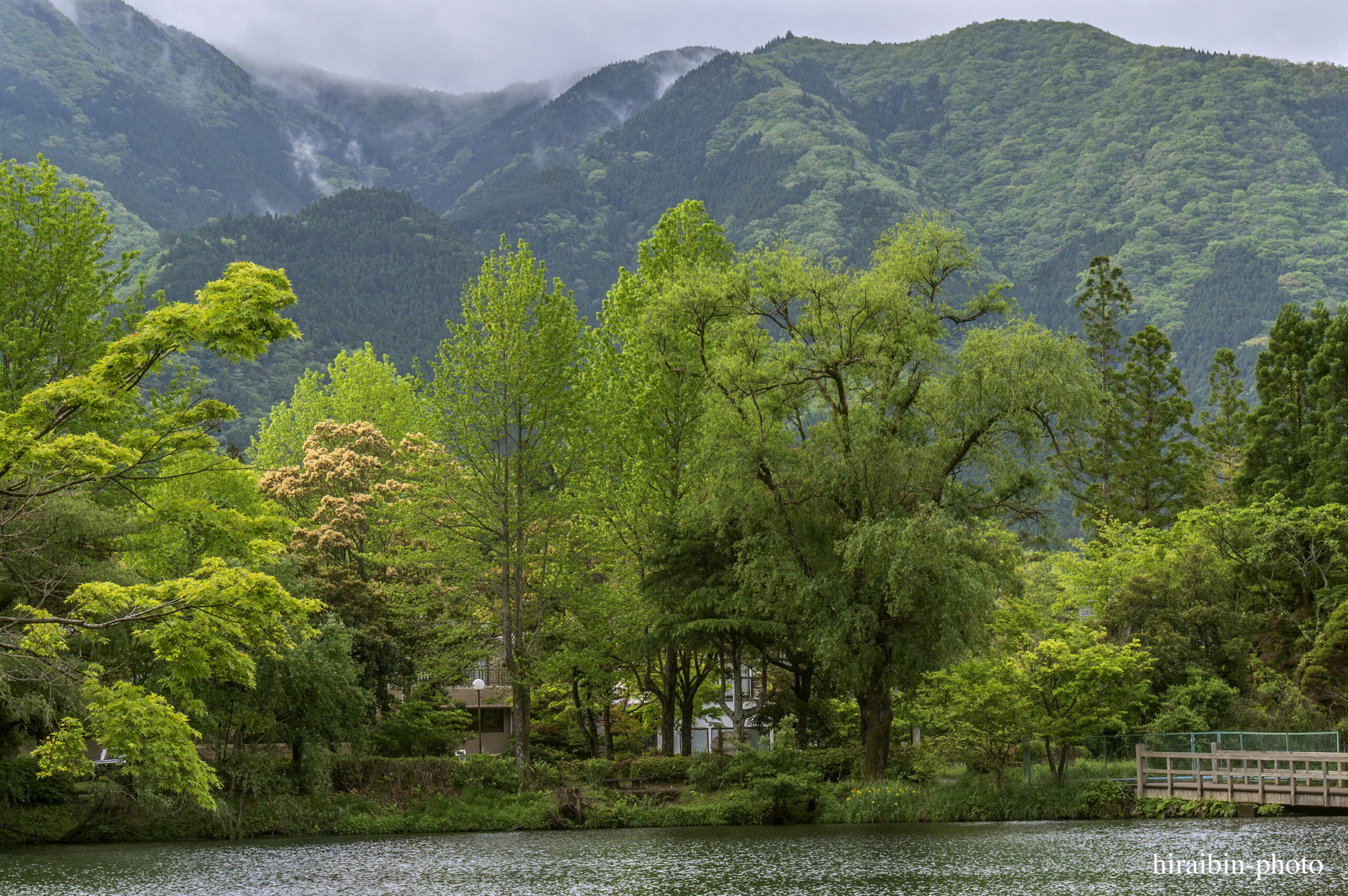 2024.5.2_湯布院・別府_04