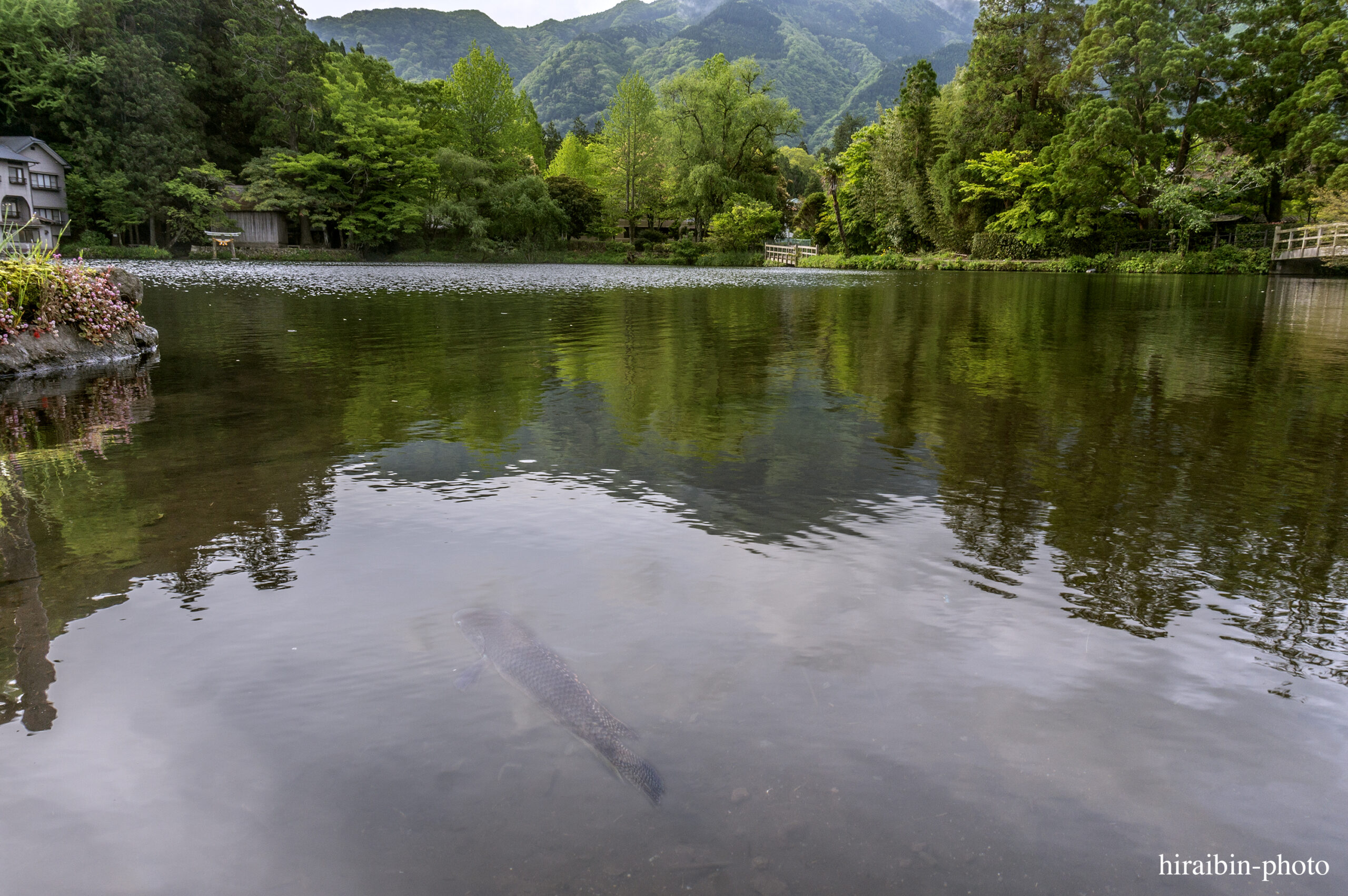 2024.5.2_湯布院・別府_06