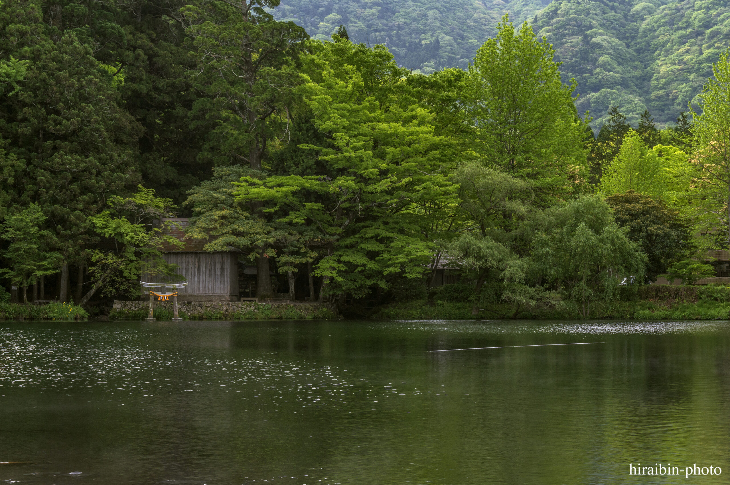 2024.5.2_湯布院・別府_07