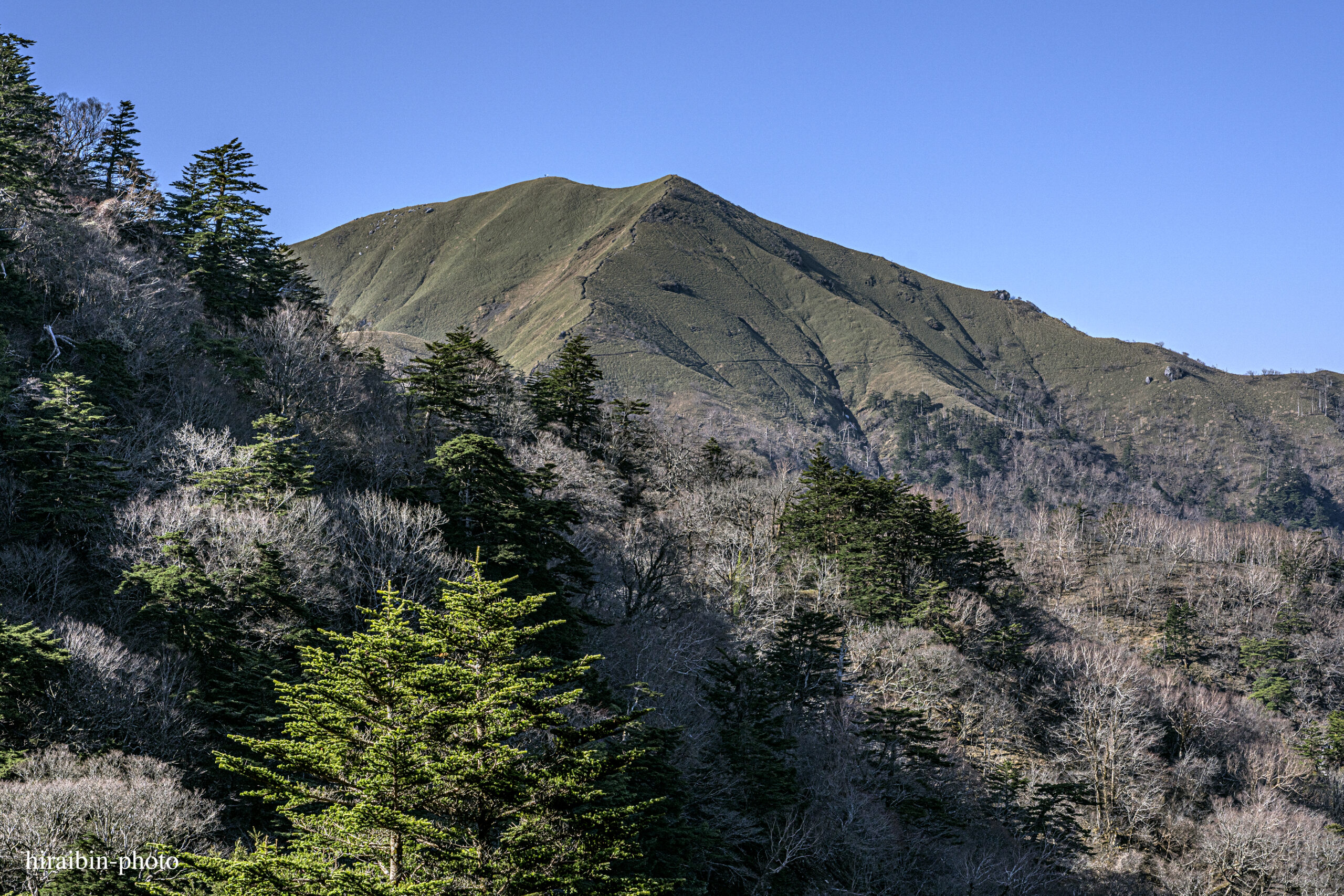 登山を開始、初めて次郎笈が見えた。