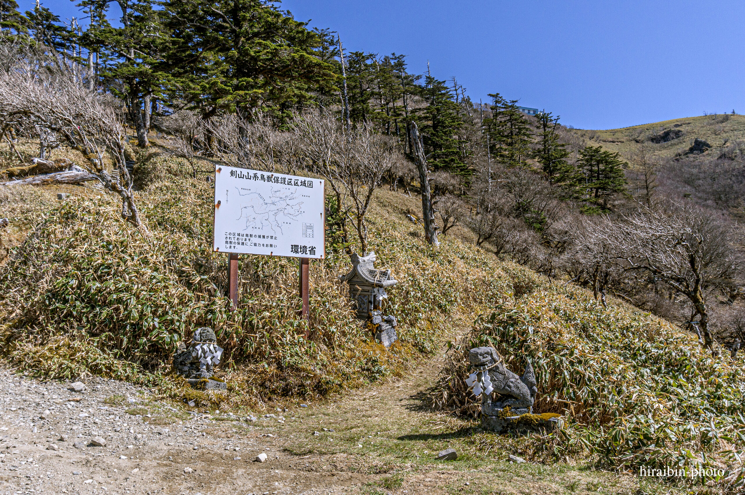 尾根道コースと大剣神社(剣道)コースの分岐点。写真、右手が大剣神社(剣道)コース。